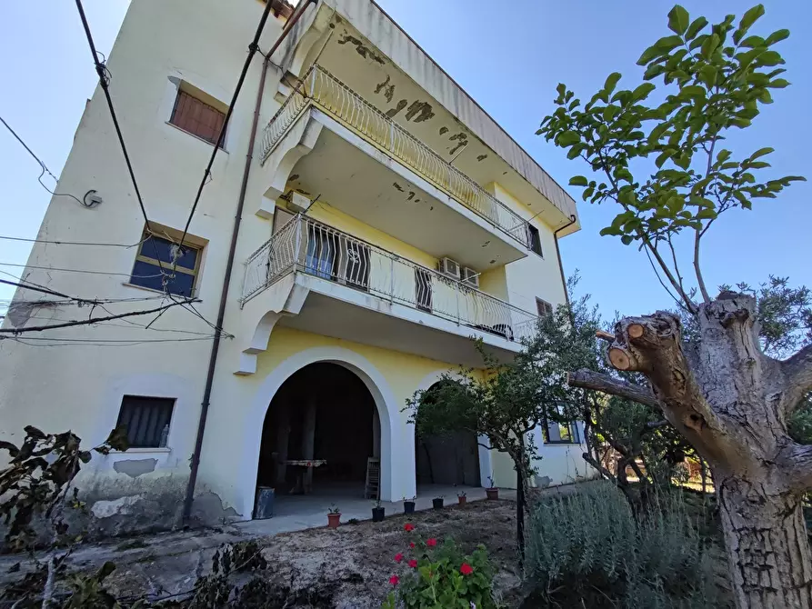 Immagine 5 di Palazzo in vendita  in Via SANTA LUCIA, 41 a Davoli