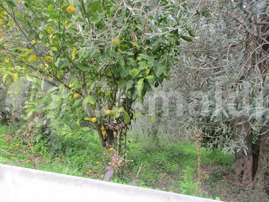 Immagine 29 di Casa indipendente in vendita  in Via San Paolo Gala, 10 a Barcellona Pozzo Di Gotto