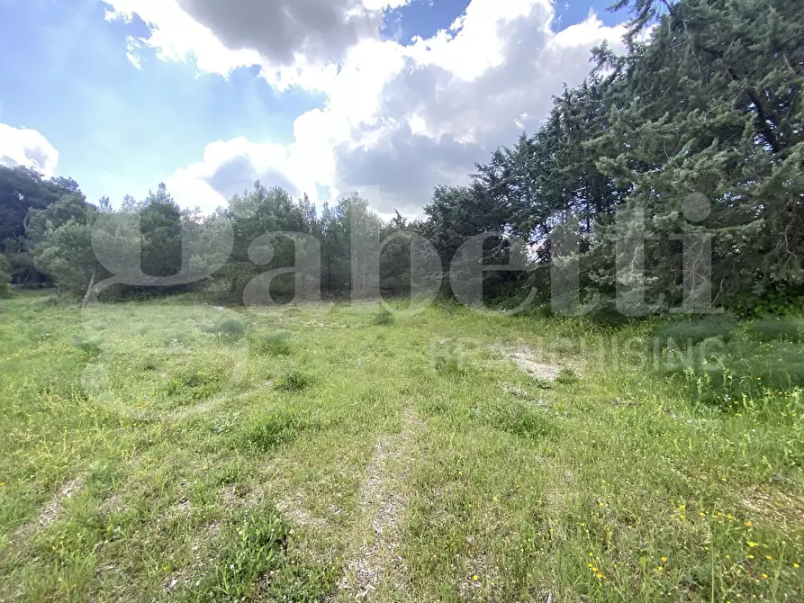 Immagine 17 di Villa in vendita  in Via S.P. 18, 76 a Cassano Delle Murge