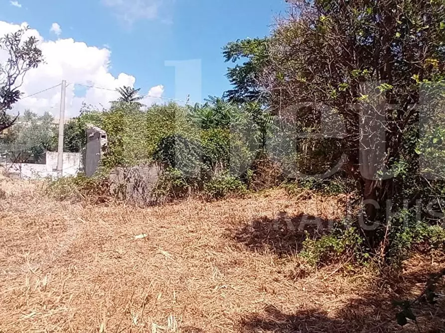 Immagine 9 di Terreno agricolo in vendita  in LocalitÃ  San Vito, s.n.c. a Gaeta