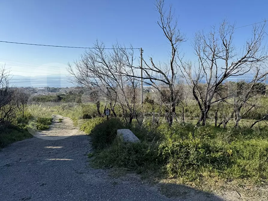 Immagine 6 di Terreno agricolo in vendita  in Contrada raia, snc a Villafranca Tirrena