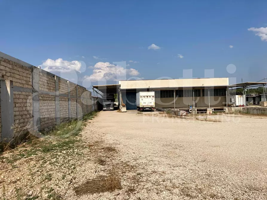Immagine 7 di Palazzo in vendita  in Strada Statale 16 a San Severo