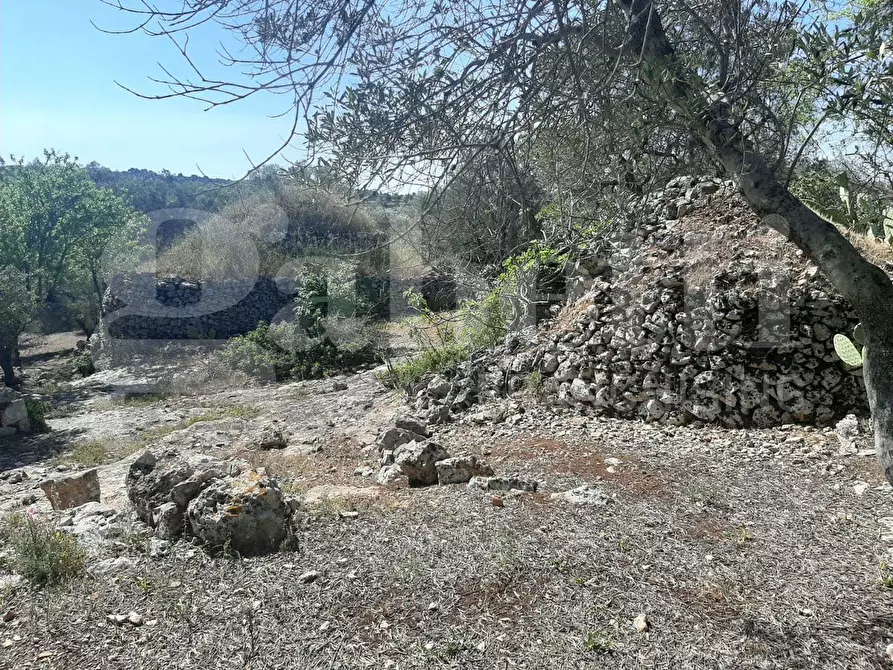 Immagine 1 di Villa in vendita  in Contrada la chiusa, sn a Ostuni