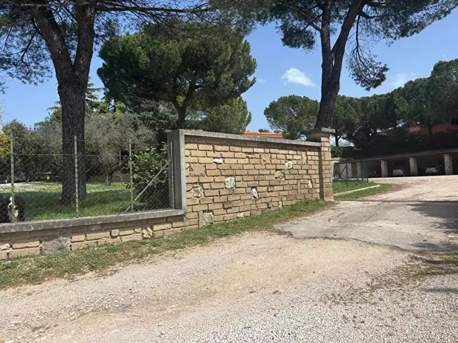 Immagine 11 di Magazzino in affitto  in Via Madonna di Loreto Casale Santospirito, 9 a Anagni