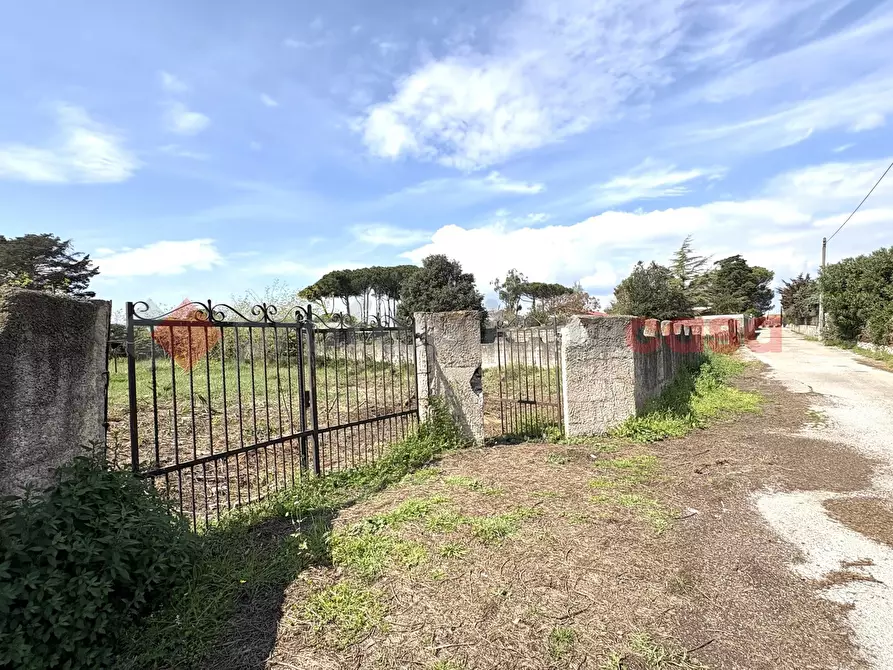 Immagine 25 di Terreno agricolo in vendita  in Via SAN FELICE CIRCEO TRAVERSA 23, 23 a Terracina