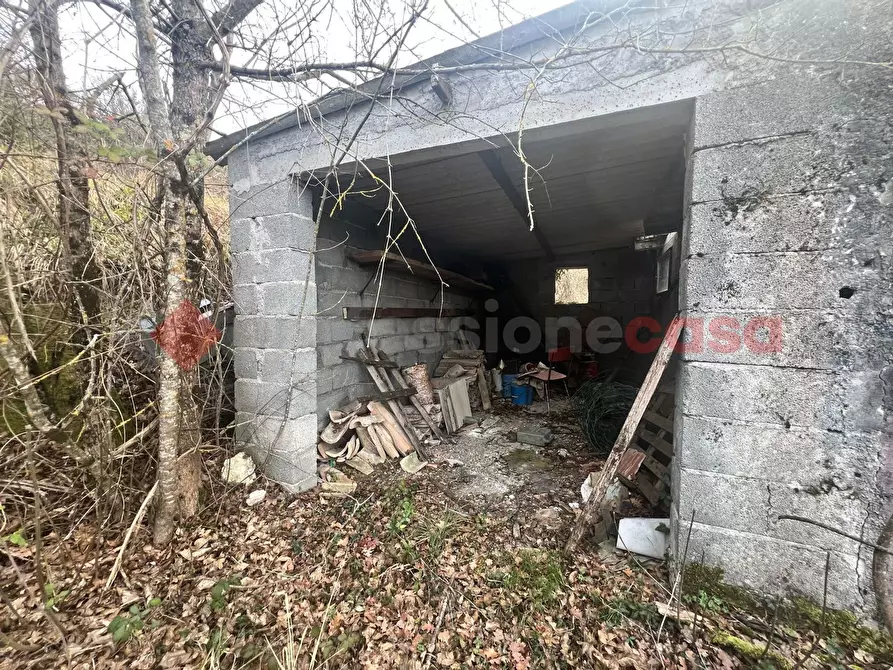 Immagine 6 di Terreno agricolo in vendita  in LocalitÃ  Rubbiano a Spoleto
