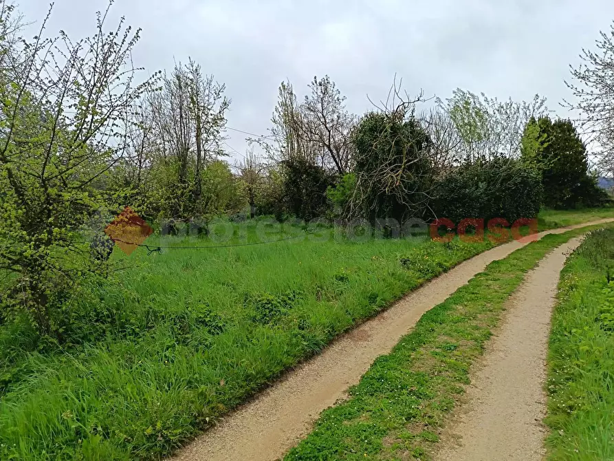 Immagine 2 di Terreno agricolo in vendita  in Strada Vicinale Ponte del Papa, snc a Anagni