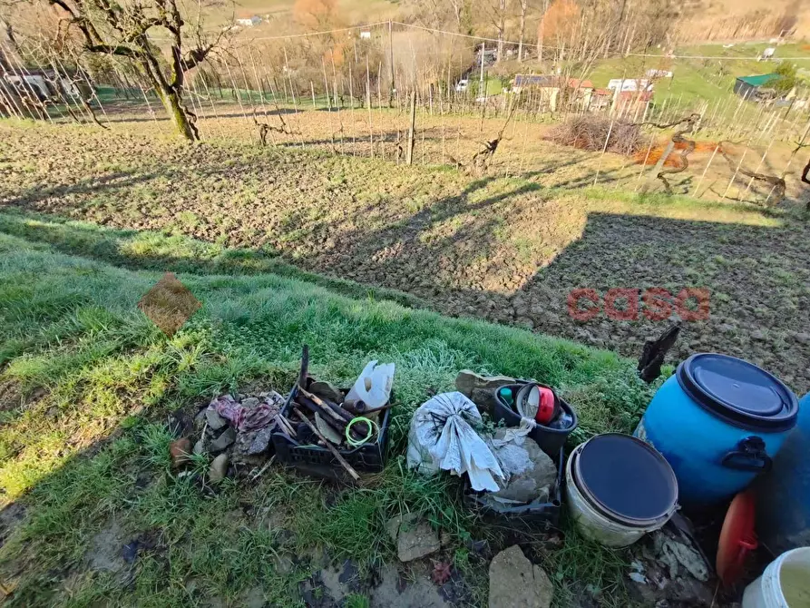 Immagine 11 di Terreno agricolo in vendita  in Via vallone a Castelfiorentino
