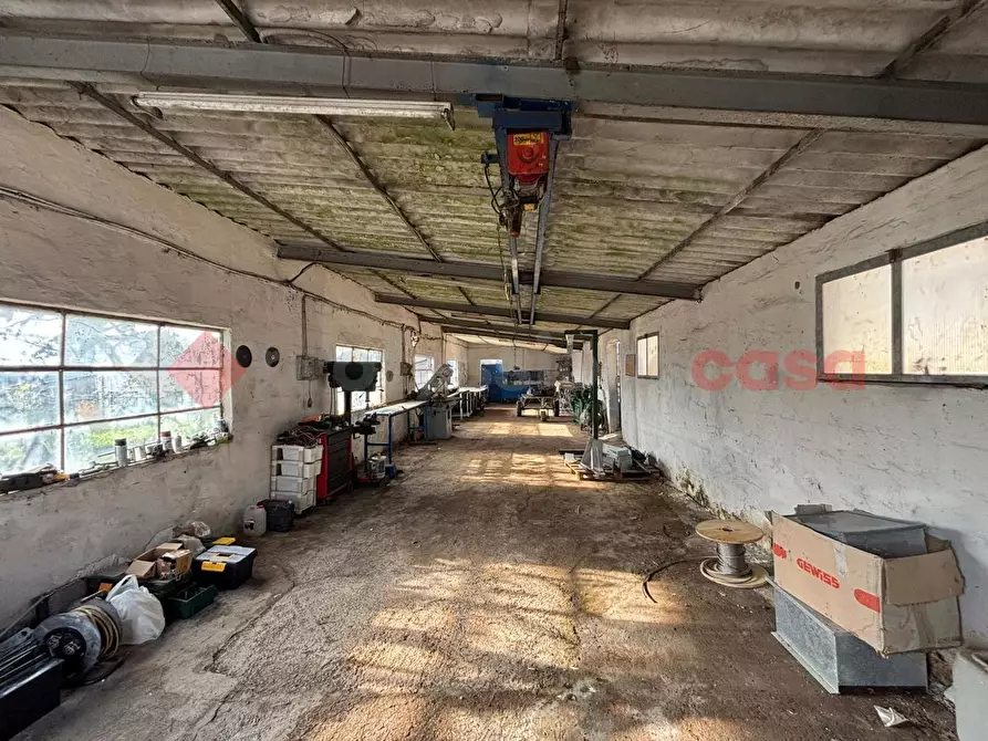 Immagine 3 di Capannone industriale in affitto  in Via Capannaccio, 1 a Anagni