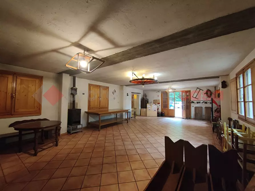 Immagine 18 di Terreno agricolo in vendita  in Via di castagneto a Empoli