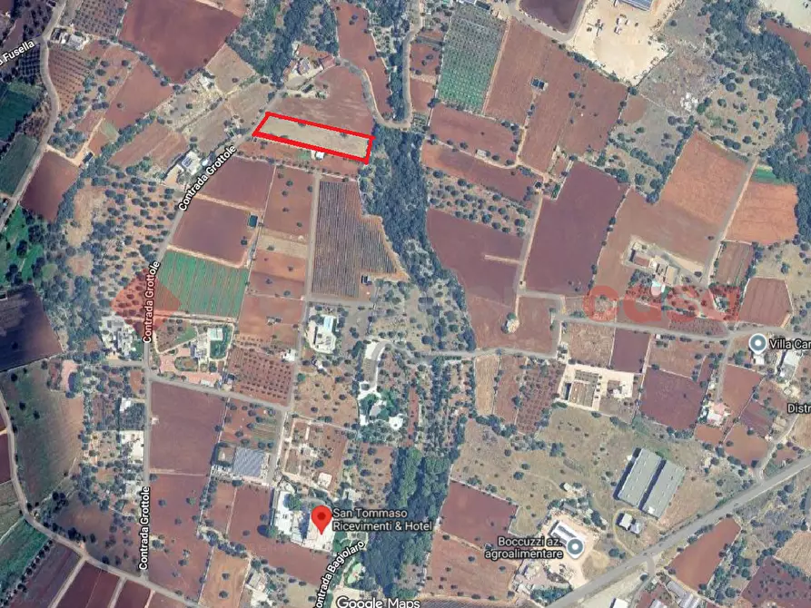 Immagine 2 di Terreno agricolo in vendita  in Strada Provinciale Polignano Conversano a Polignano A Mare