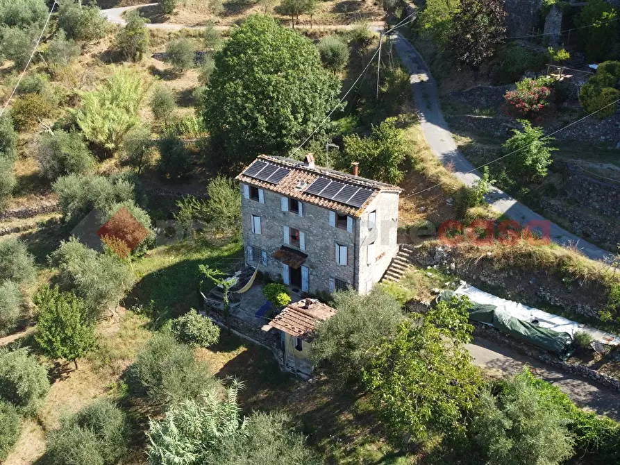 Immagine 5 di Rustico / casale in vendita  in LocalitÃ  castello, 9 a Borgo A Mozzano