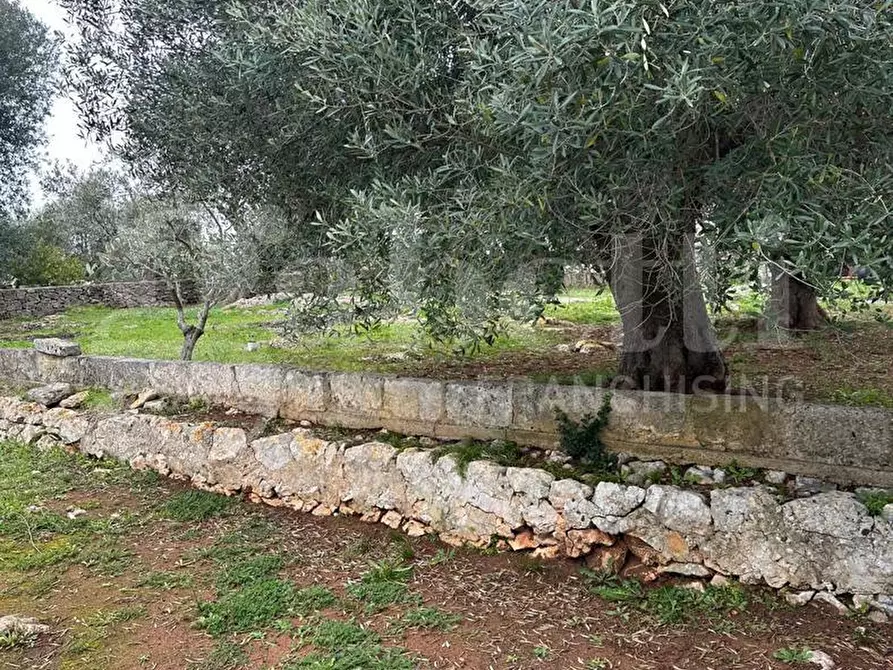 Immagine 14 di Villa in vendita  in Contrada Salinola, sn a Ostuni