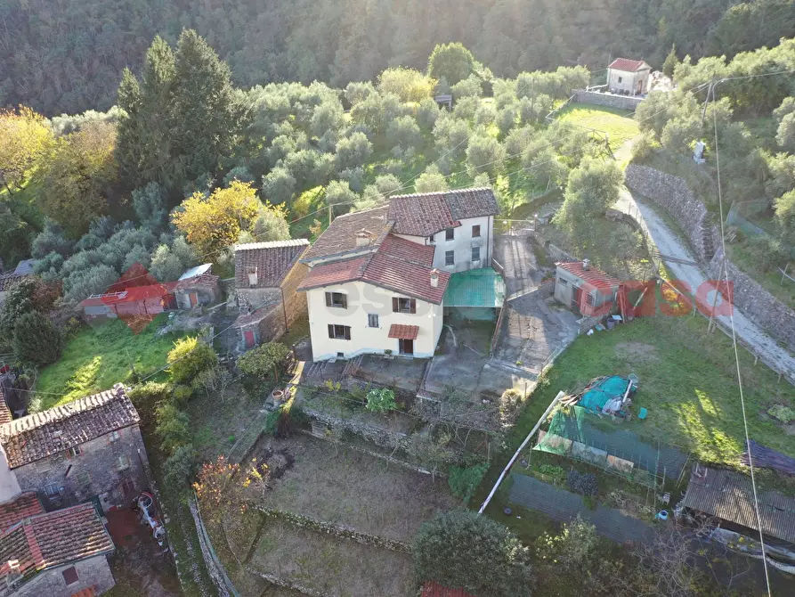 Immagine 3 di Terratetto in vendita  in Via Primo Lucchesi, 10 a Camaiore