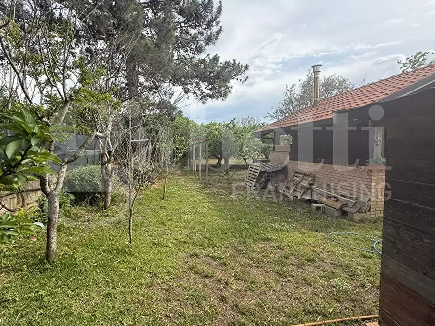 Immagine 7 di Casa indipendente in vendita  in Via Santa Caterina, 21 a Gizzeria