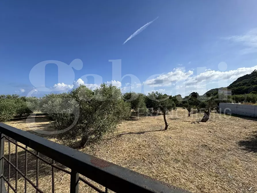 Immagine 1 di Terreno agricolo in vendita  in Contrada rodia, snc a Messina