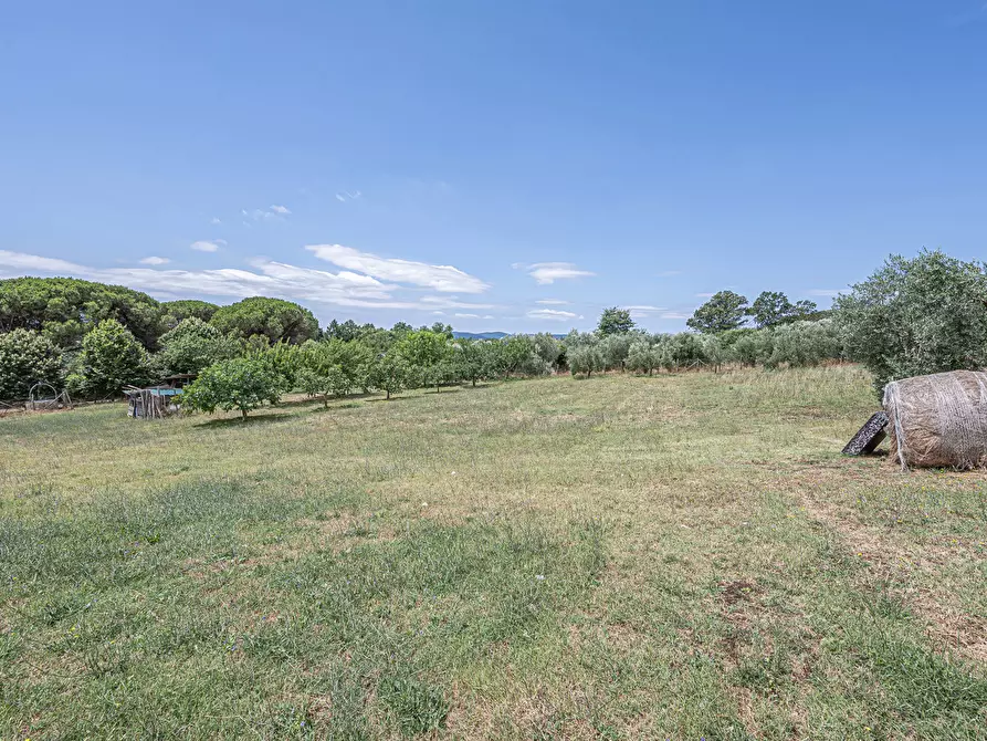 Immagine 30 di Villa in vendita  in Via Canale, 64 a Manziana
