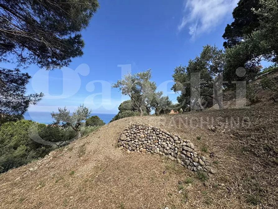 Immagine 3 di Terreno agricolo in vendita  in Contrada grancabella, SNC a Messina