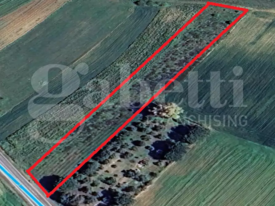 Immagine 8 di Terreno agricolo in vendita  in Strada provinciale 9, snc a Sestu