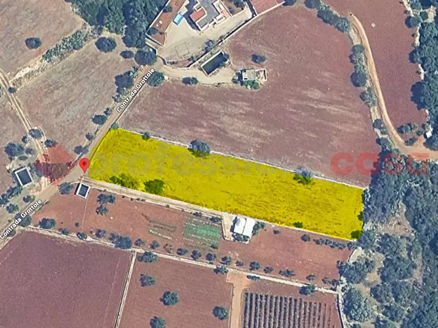 Immagine 3 di Terreno agricolo in vendita  in Strada Provinciale Polignano Conversano a Polignano A Mare