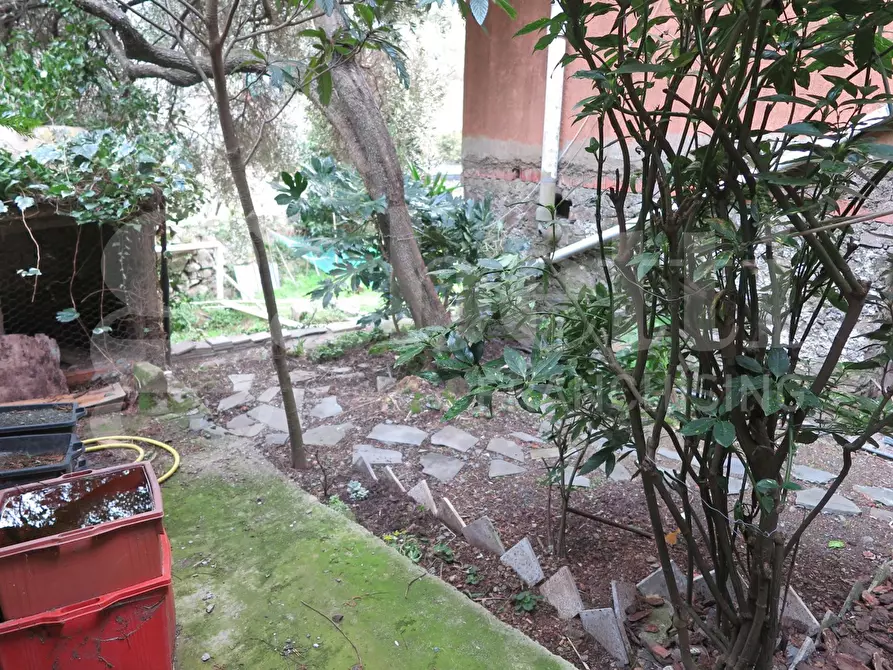 Immagine 12 di Appartamento in vendita  in Strada provinciale, 5 a Riomaggiore