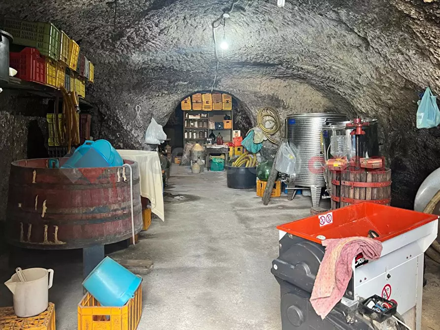 Immagine 27 di Terreno agricolo in vendita  in Contrada GORIZZE, SNC a Barile