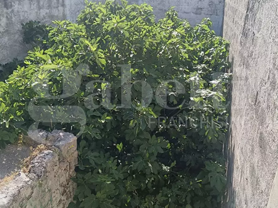 Immagine 7 di Appartamento in vendita  in Via TRENTO, 2 a Crispiano