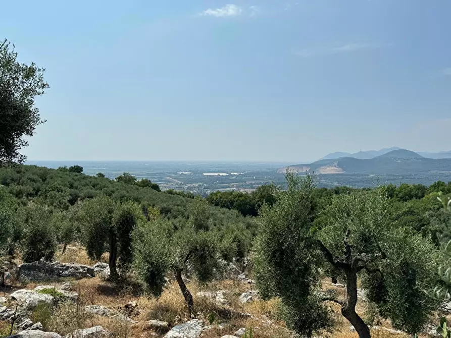 Immagine 15 di Villa in vendita  in Via Carbonara, 11 a Sonnino