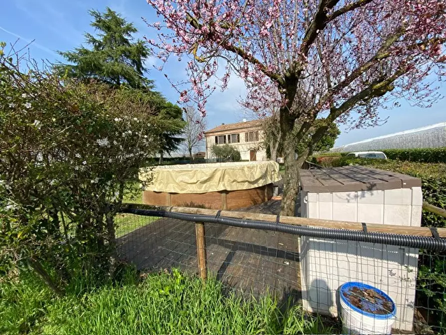 Immagine 24 di Appartamento in vendita  in Via martorella a Forli'