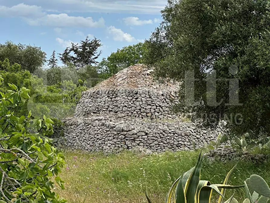 Immagine 9 di Villa in vendita  in Contrada Acquarella, sn a Ostuni
