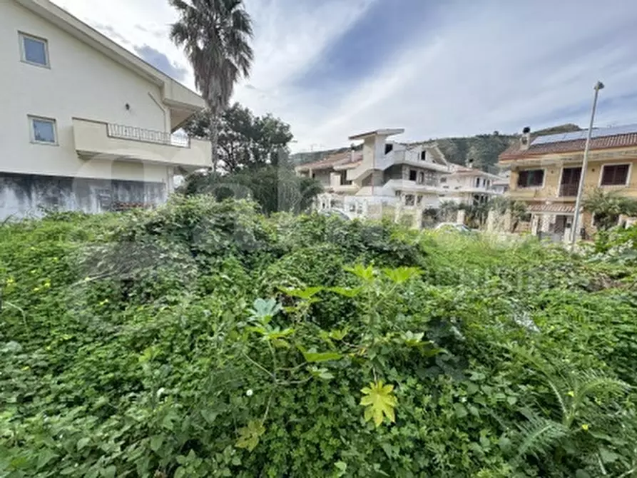Immagine 6 di Terreno residenziale in vendita  in Contrada sant'antonio, snc a Saponara