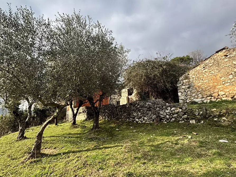Immagine 15 di Rustico / casale in vendita  in Via Casale Basso, snc a Alatri