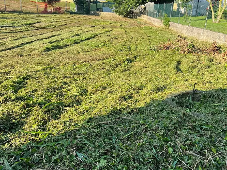 Immagine 5 di Rustico / casale in vendita  in Via CAVARZERE LocalitÃ  Pareole, 43 a Cavarzere