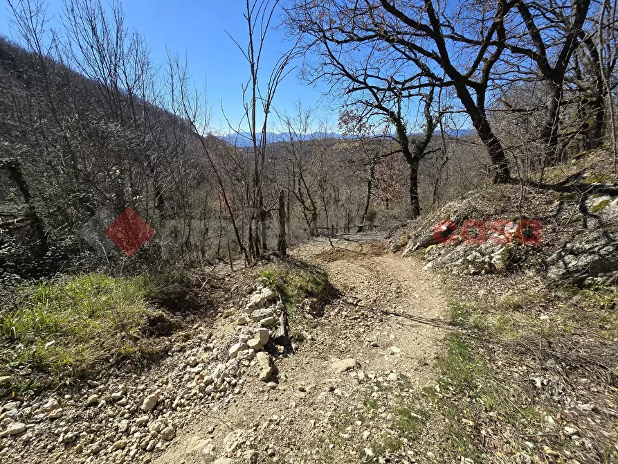 Immagine 19 di Terreno agricolo in vendita  in Via del Cerenaro, snc a Rieti