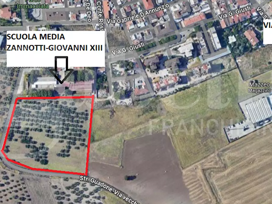 Immagine 8 di Terreno residenziale in vendita  in Strada vicinale guadone, snc a San Severo