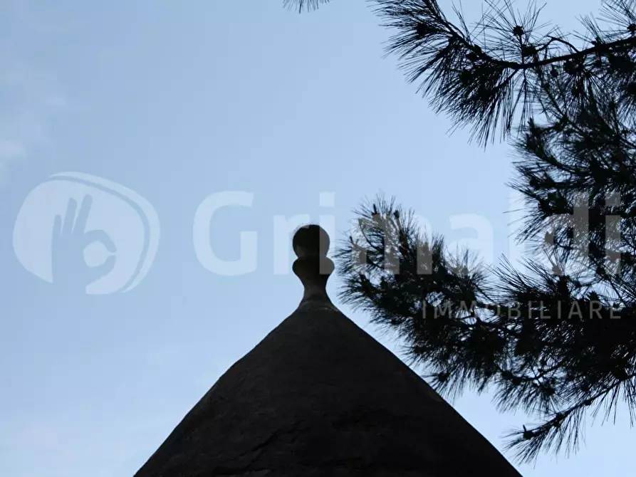 Immagine 3 di Villa in vendita  in Contrada vaccaro, 84 a Martina Franca