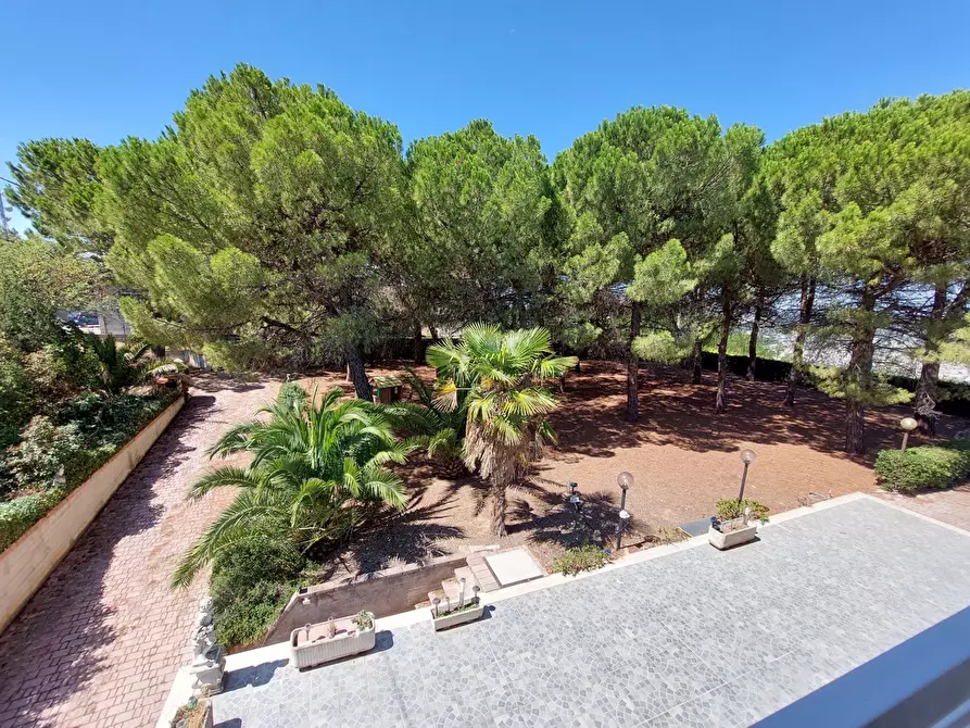 Immagine 5 di Casa trifamiliare in vendita  in Contrada San Martino, 0 a Colonnella