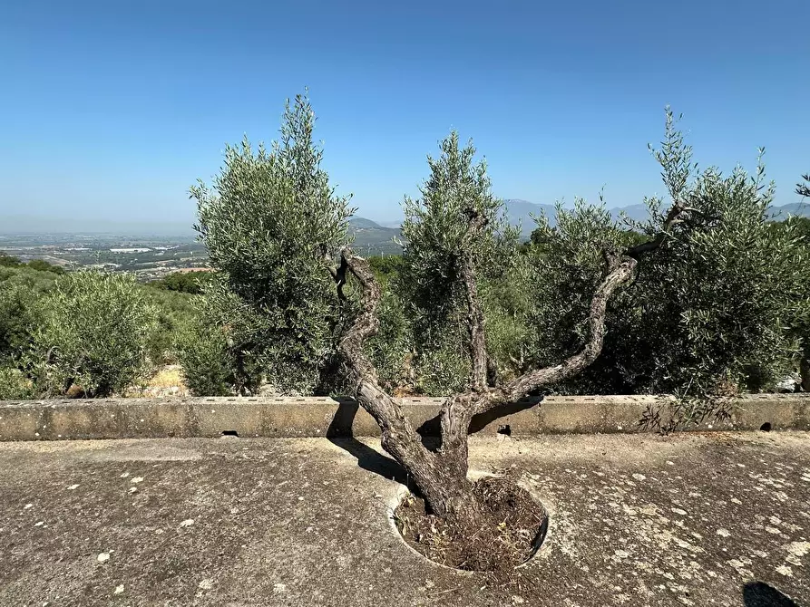 Immagine 21 di Villa in vendita  in Via Carbonara, 11 a Sonnino