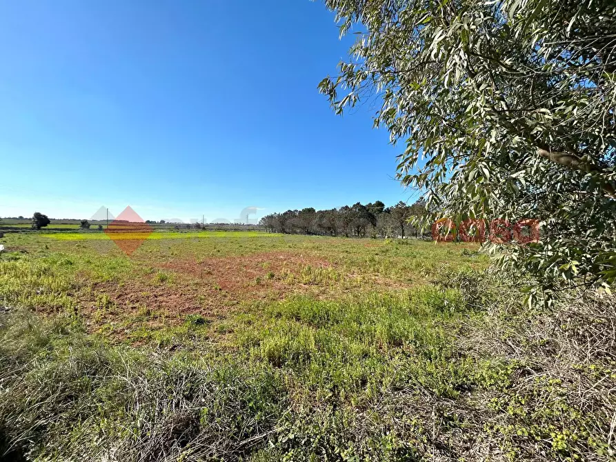 Immagine 9 di Terreno residenziale in vendita  in Via Prov.le Poggiardo-Spongano a Poggiardo