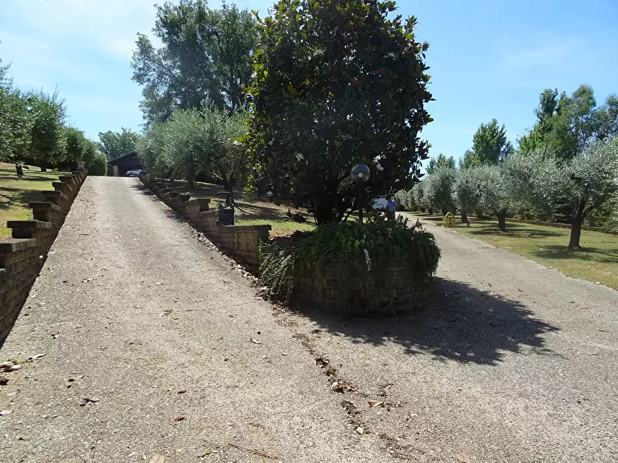 Immagine 11 di Villa in vendita  in Via Canale, 86 a Manziana