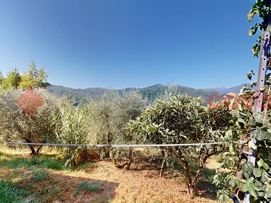 Immagine 23 di Rustico / casale in vendita  in LocalitÃ  castello, 9 a Borgo A Mozzano