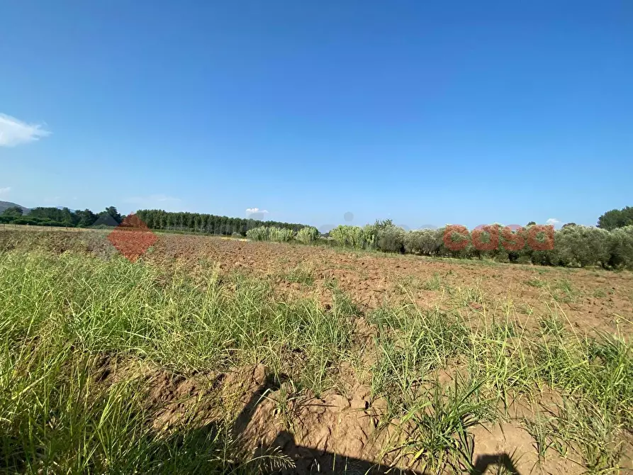 Immagine 15 di Terreno agricolo in vendita  in LocalitÃ  Starzella, SNC a Falciano Del Massico