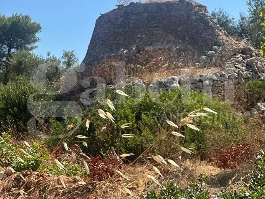 Immagine 3 di Terreno agricolo in vendita  in Contrada Campanile a Ostuni