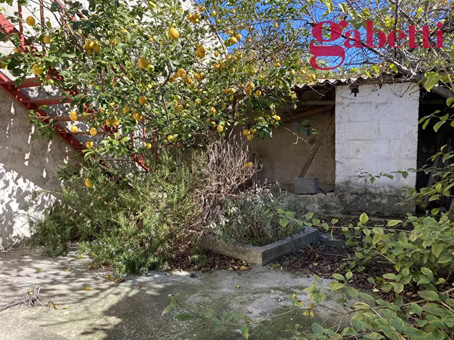 Immagine 9 di Casa indipendente in vendita  in Via Stazione a Bagnolo Del Salento