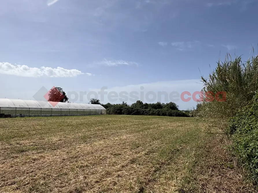 Immagine 10 di Terreno agricolo in vendita  in Via PONTE DI FERRO, 74 a Terracina