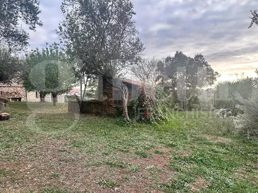 Immagine 5 di Villa in vendita  in Via solfarata, 51 a Roma