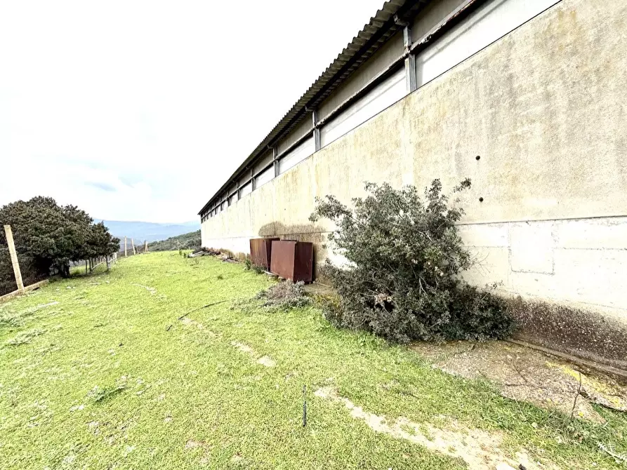 Immagine 3 di Capannone industriale in vendita  in Strada COMUNALE DE ORBAI, SNC a Dolianova
