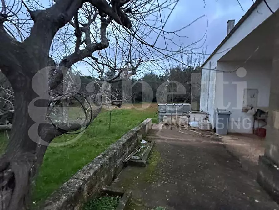 Immagine 26 di Villa in vendita  in Contrada Lamacoppa piccola, sn a Ostuni