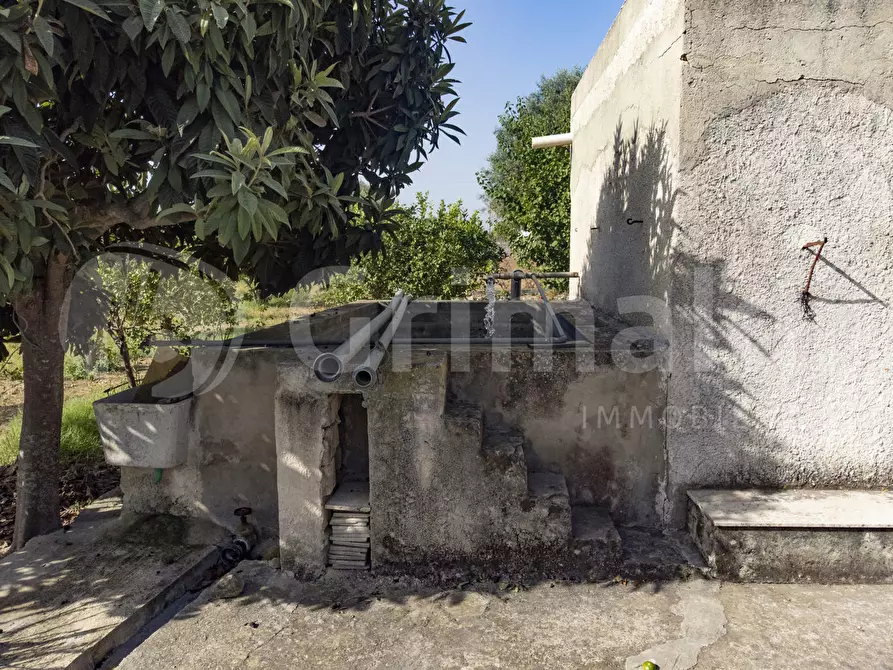 Immagine 7 di Terreno residenziale in vendita  in Contrada calabernardo/palma, snc a Avola