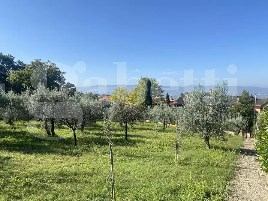 Immagine 1 di Terreno residenziale in vendita  in Via DELLE GINESTRE, 1 a Assisi